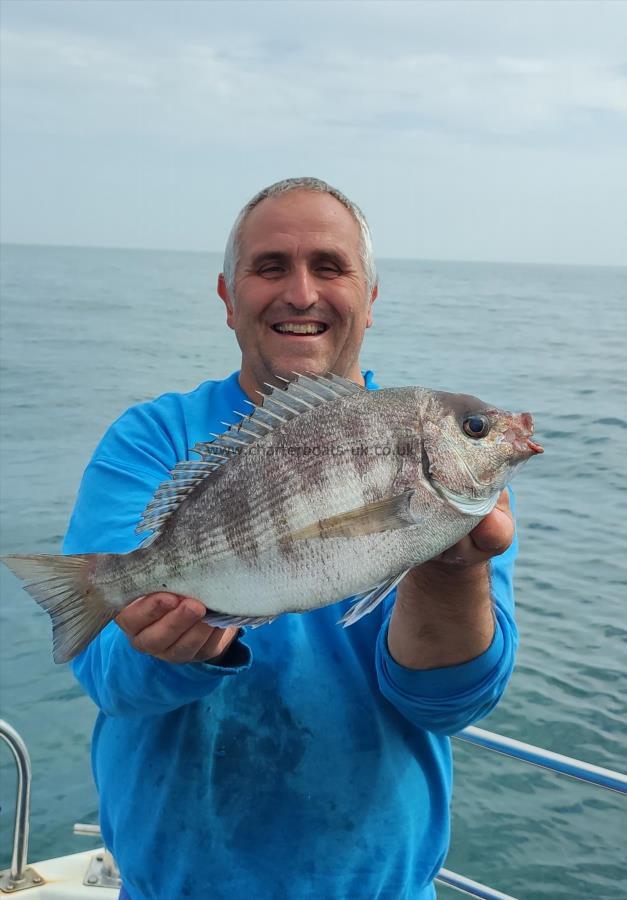 2 lb 11 oz Black Sea Bream by John