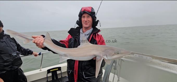 12 lb 1 oz Smooth-hound by Mick