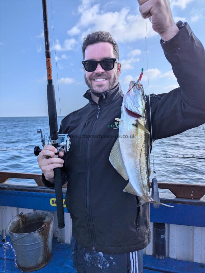 2 lb 2 oz Pollock by Unknown