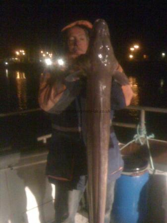 20 lb Conger Eel by Unknown