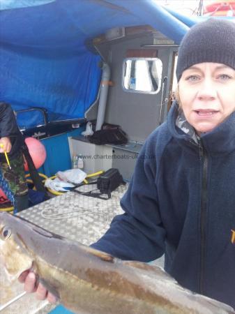 7 lb Pollock by dave jenkins