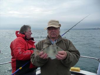 1 lb Trigger Fish by Keith Trim