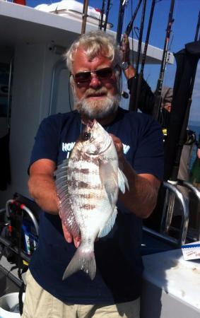 3 lb Black Sea Bream by Phil