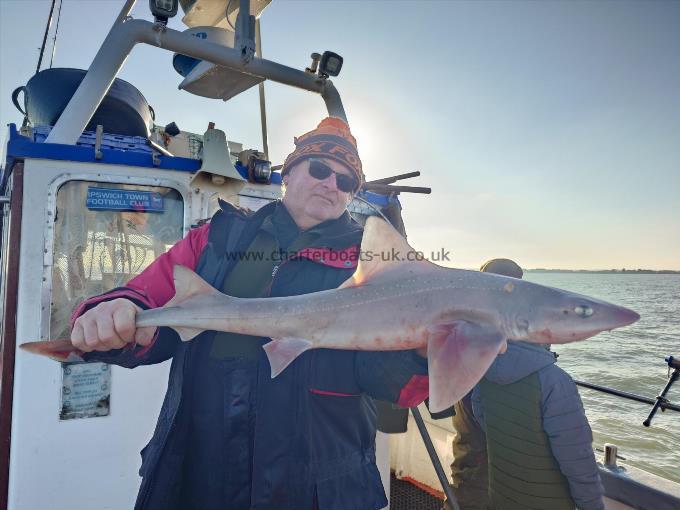 6 lb Smooth-hound (Common) by Reg