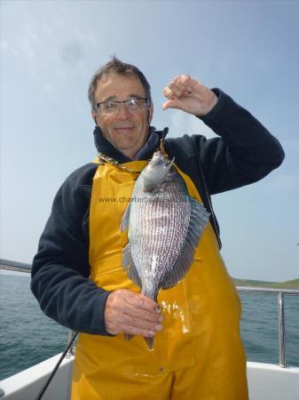 3 lb 4 oz Black Sea Bream by Glen Knight