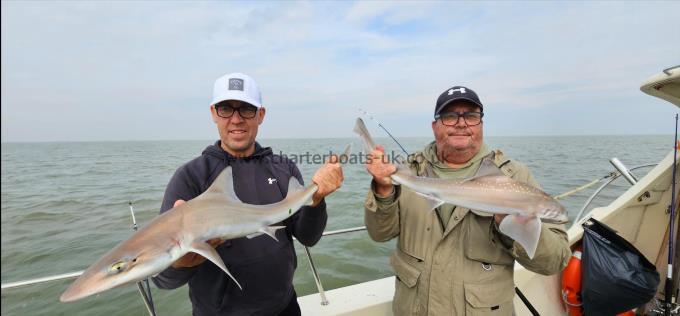 8 lb 2 oz Smooth-hound (Common) by Doug