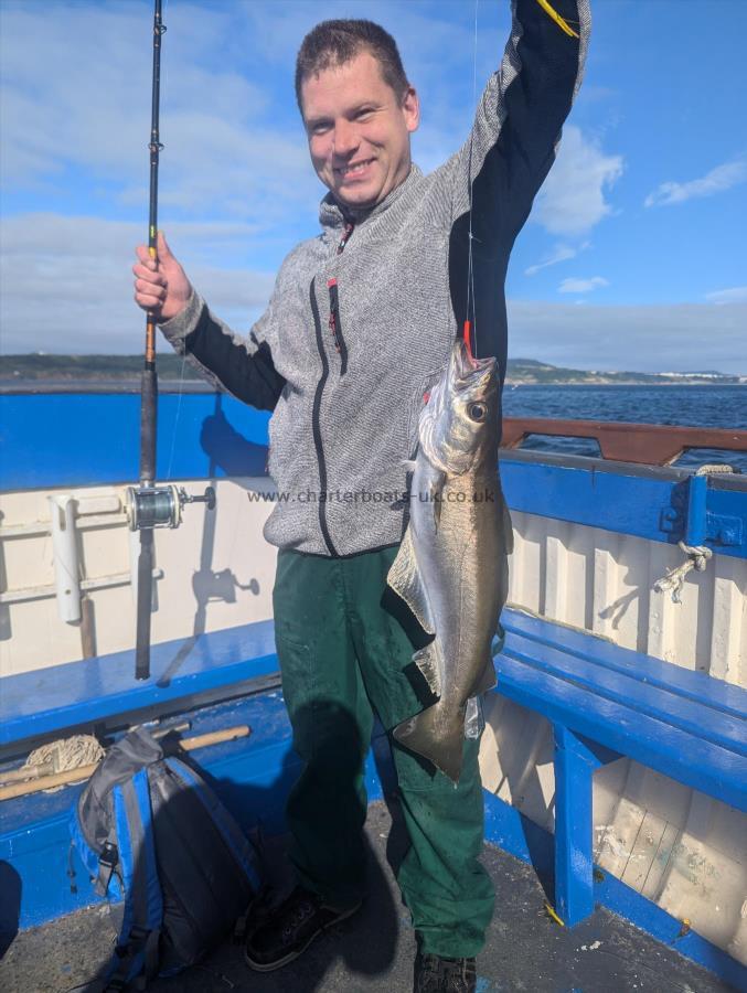 3 lb 8 oz Pollock by Unknown