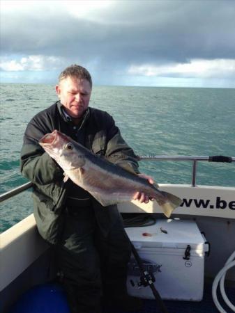 9 lb 1 oz Pollock by Nick McCluff