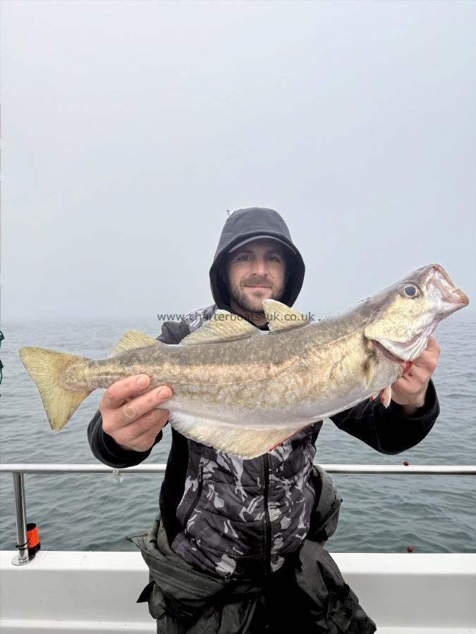 4 lb 8 oz Pollock by Anthony