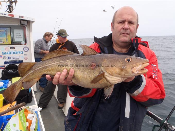 6 lb 2 oz Cod by Unknown