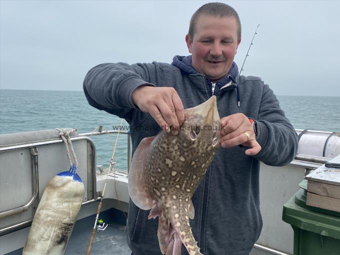 5 lb Thornback Ray by Unknown