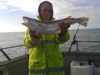 3 lb 6 oz Whiting by alan lepetit