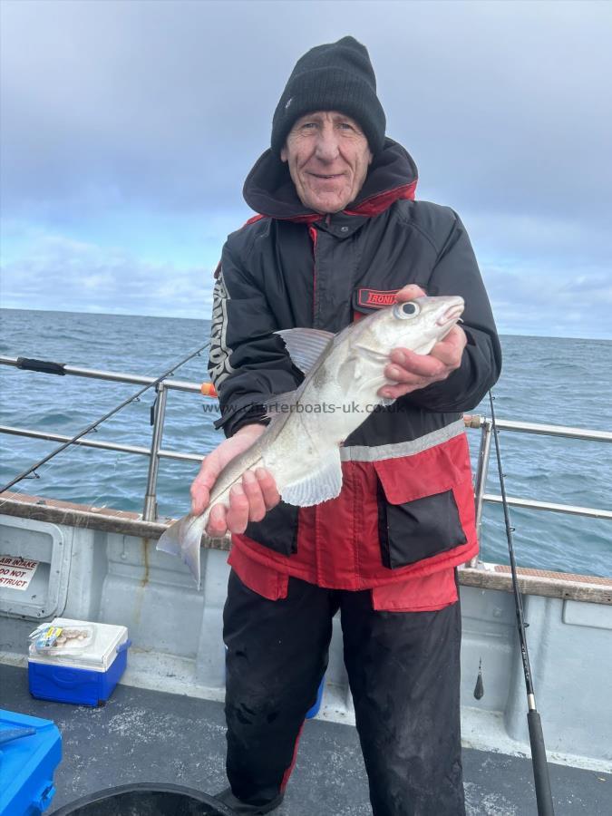 3 lb 1 oz Haddock by Unknown