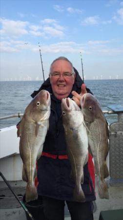 4 lb 9 oz Cod by Unknown