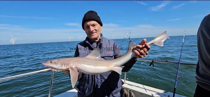 8 lb 3 oz Smooth-hound by Ray