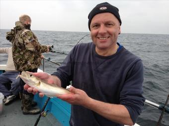 8 oz Whiting by chris