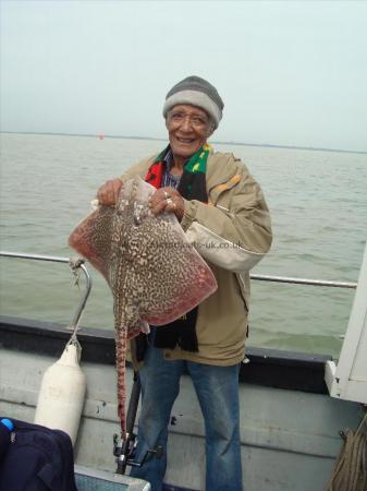 11 lb Thornback Ray by lou