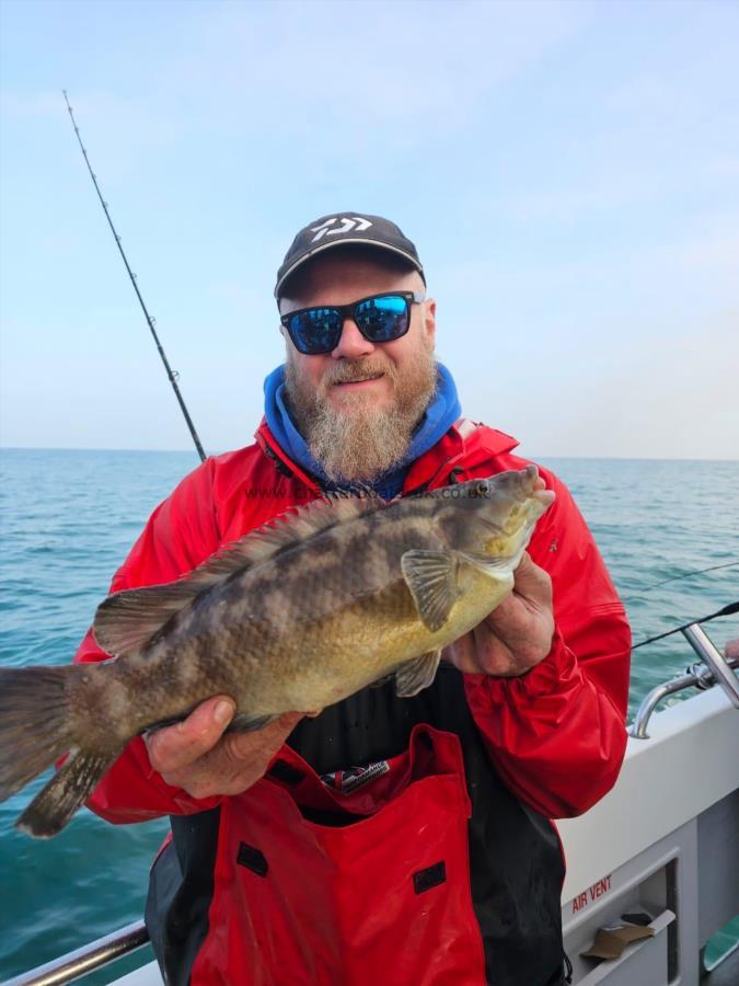 4 lb 2 oz Ballan Wrasse by Dean