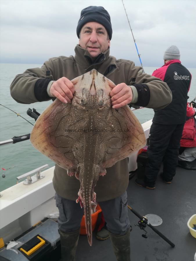 12 lb Undulate Ray by Rob