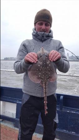 4 lb Thornback Ray by Unknown