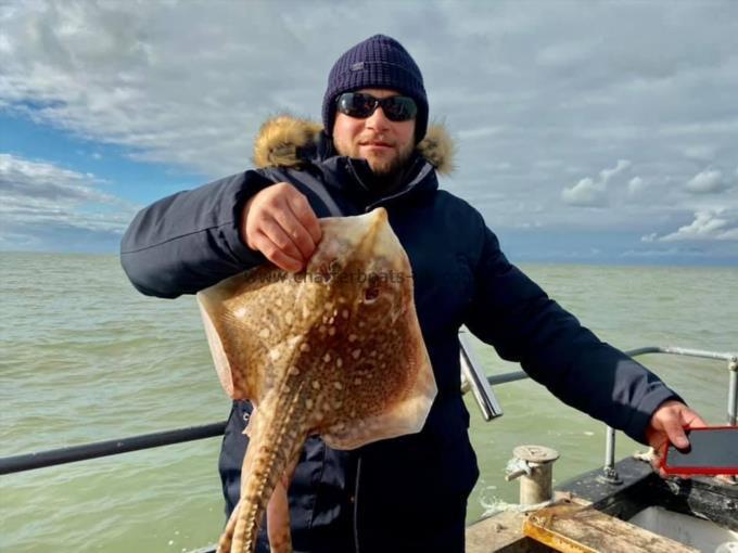 5 lb Thornback Ray by Unknown