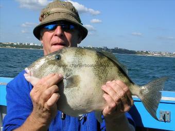 3 lb 7 oz Trigger Fish by Matt Taylor