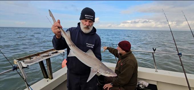 6 lb 12 oz Smooth-hound (Common) by Phillippe