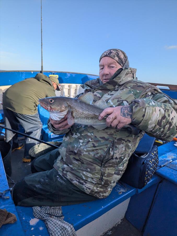 4 lb Cod by Unknown