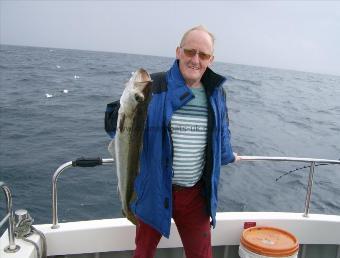 8 lb 3 oz Pollock by Mr Burr