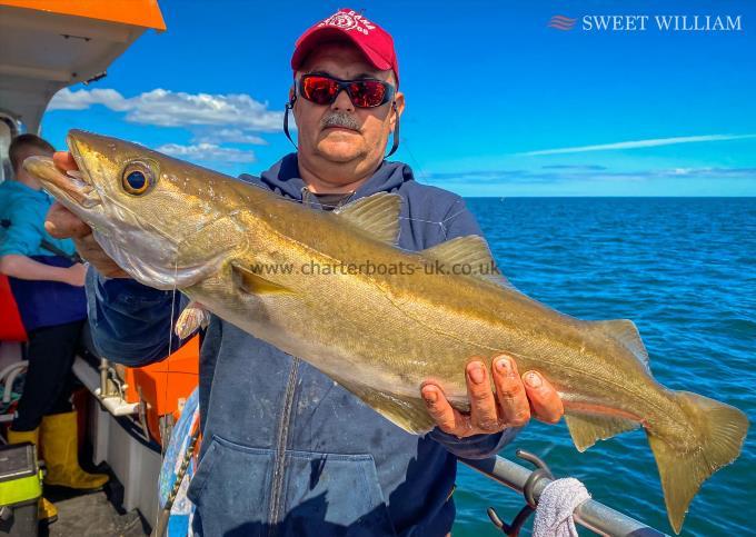 8 lb Pollock by Joseph