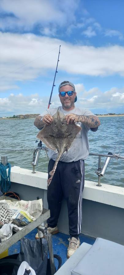 4 lb Thornback Ray by Unknown