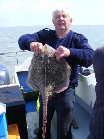 8 lb 8 oz Thornback Ray by Durham Dave