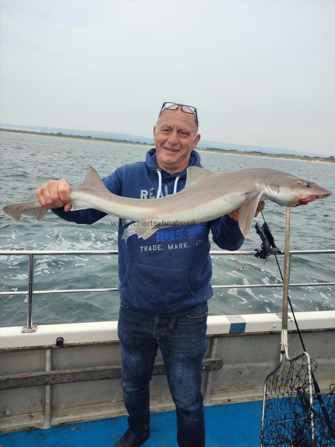 10 lb 8 oz Smooth-hound (Common) by Pete