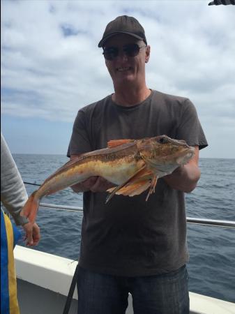 4 lb Tub Gurnard by Unknown