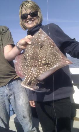 7 lb Thornback Ray by Tracey