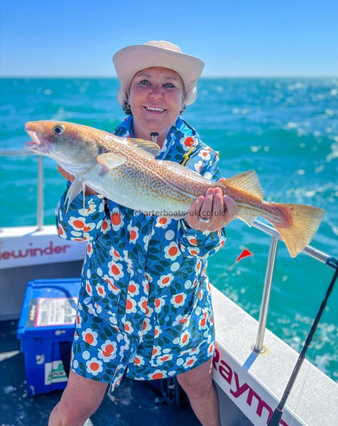 4 lb Cod by Lisa Mcnally