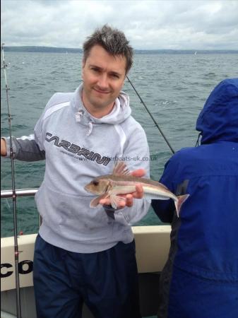 1 lb 1 oz Grey Gurnard by Carl Parsons