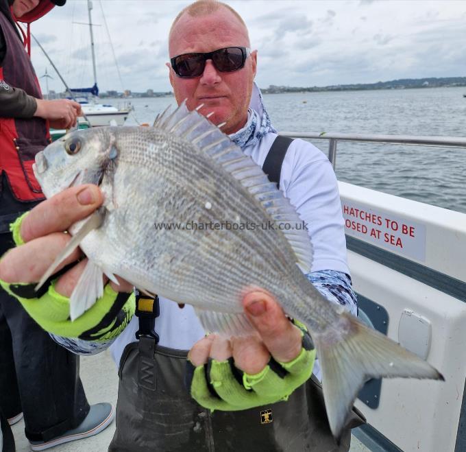 1 lb Gilt-head Sea Bream by John