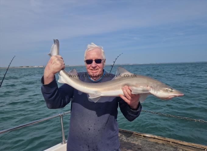 9 lb 8 oz Smooth-hound (Common) by Graham from Faversham