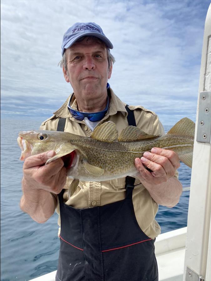 3 lb 14 oz Cod by Lee.