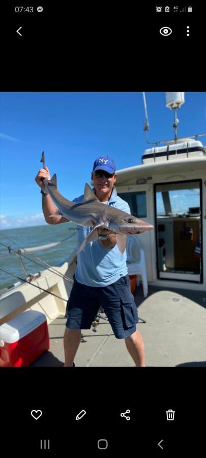 9 lb 6 oz Smooth-hound by Unknown