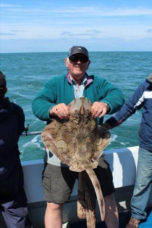 12 lb Undulate Ray by Paul