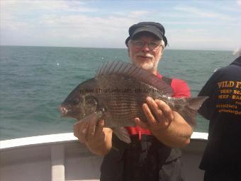 3 lb Black Sea Bream by Chris Bale