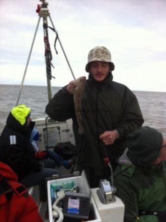 1 lb 7 oz Cod by Scott Belbin