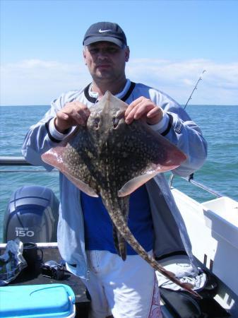 5 lb Thornback Ray by Les