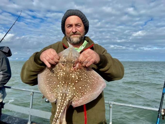 5 lb Thornback Ray by Unknown