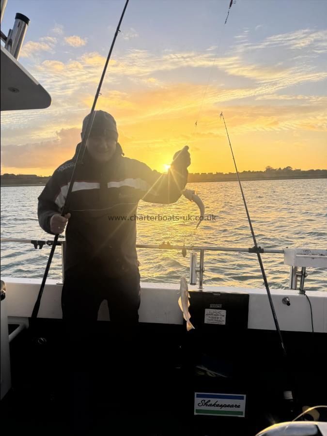 1 lb Whiting by Clive