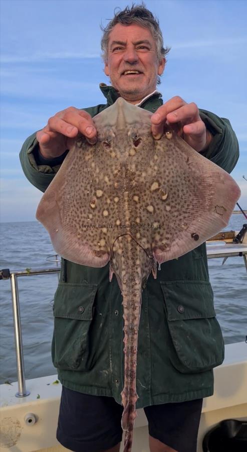 5 lb Thornback Ray by John