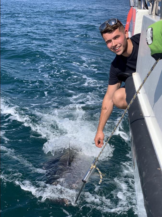 375 lb Bluefin Tuna by Charlie Turber