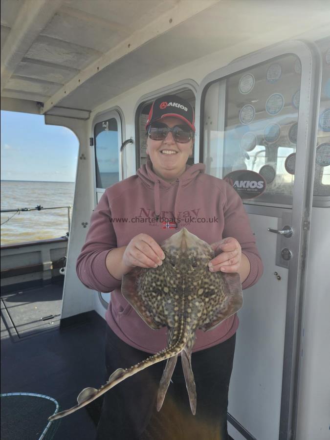 3 lb Thornback Ray by Tasha